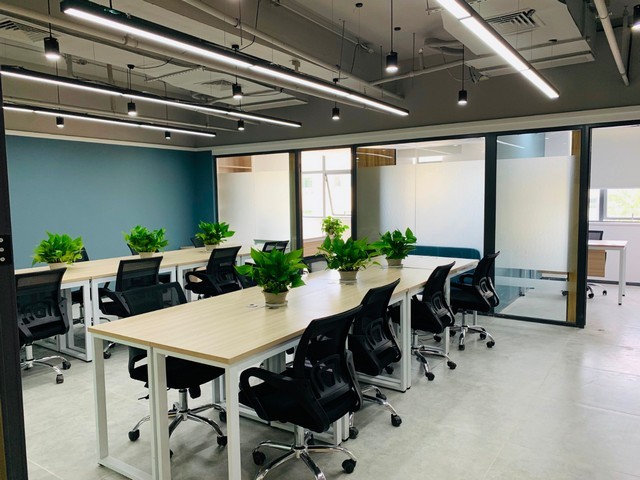 ZC6221扫频信号发生器销售厂