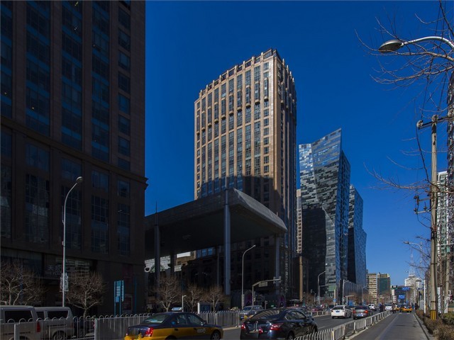 江苏大球盖菇厂家