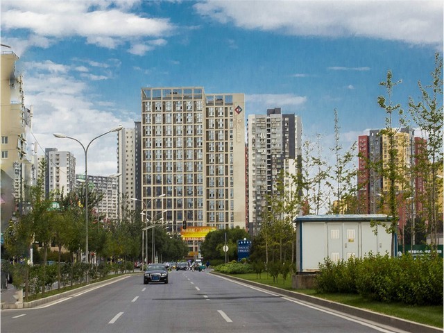 金山混合草坪养护标准